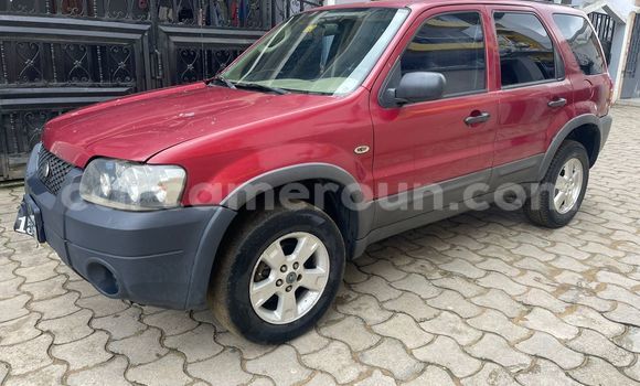 Buy Used Ford Escape Red Car in Douala in Littoral Cameroon Buy Used Ford Escape Red Car in Douala in Littoral Cameroon