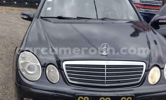 Buy New Mercedes-Benz E200 Black Car in Douala in Littoral Cameroon Buy New Mercedes-Benz E200 Black Car in Douala in Littoral Cameroon