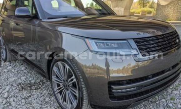 Sayi Imported Land Rover Range Rover Vogue Azurfa Mota in Douala a Ƙasar Kamaru