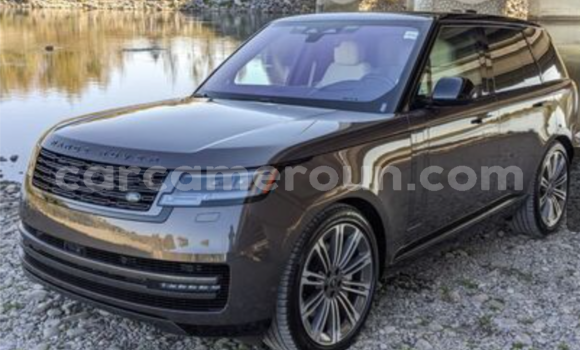 Buy Import Land Rover Range Rover Vogue Silver Car in Douala in Littoral Cameroon Buy Import Land Rover Range Rover Vogue Silver Car in Douala in Littoral Cameroon