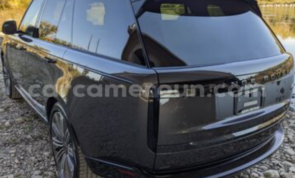Buy Import Land Rover Range Rover Vogue Silver Car in Douala in Littoral Cameroon Buy Import Land Rover Range Rover Vogue Silver Car in Douala in Littoral Cameroon