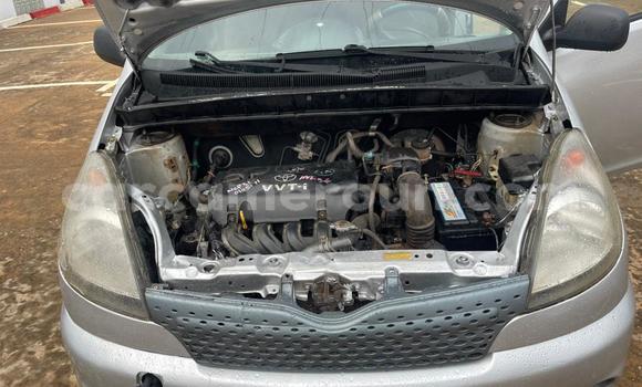 Buy Used Toyota Yaris Verso Silver Car in Yaounde in Central Cameroon