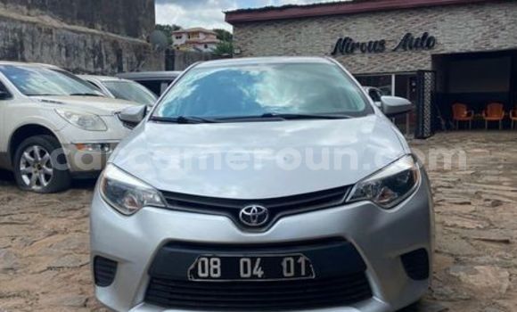 Buy Used Toyota Corolla Silver Car in Yagoua in Far North Cameroon