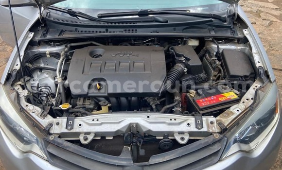 Buy Used Toyota Corolla Silver Car in Yagoua in Far North Cameroon Buy Used Toyota Corolla Silver Car in Yagoua in Far North Cameroon