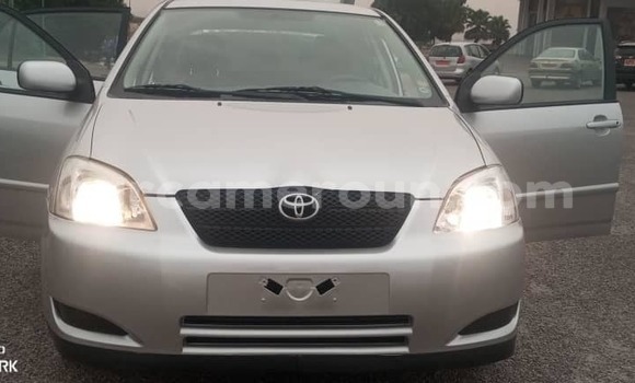 Buy Used Toyota Corolla Silver Car in Yaounde in Central Cameroon
