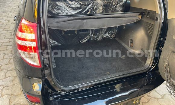 Buy Used Toyota RAV4 Black Car in Douala in Littoral Cameroon