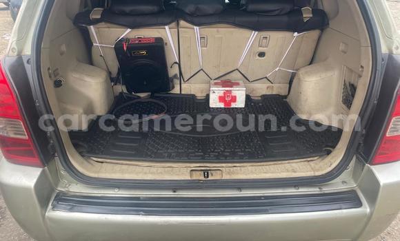 Sayi Sabo Hyundai Tucson Sauran Mota in Douala a Ƙasar Kamaru Sayi Sabo Hyundai Tucson Sauran Mota in Douala a Ƙasar Kamaru