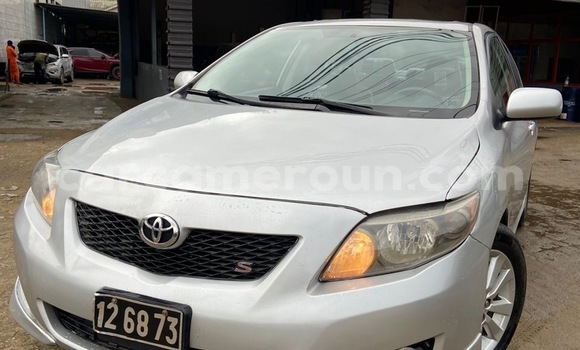 Buy Import Toyota Corolla Other Car in Douala in Littoral Cameroon Buy Import Toyota Corolla Other Car in Douala in Littoral Cameroon