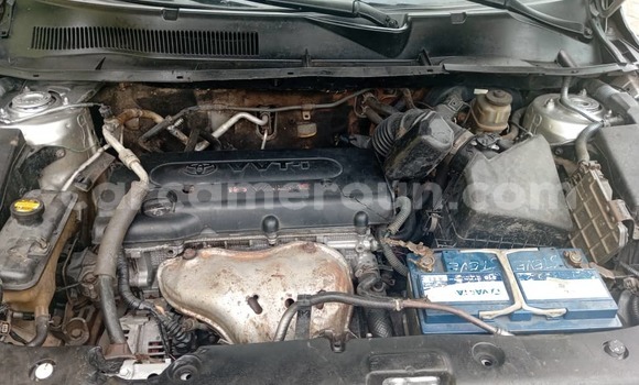 Buy Used Toyota RAV4 Brown Car in Douala in Littoral Cameroon Buy Used Toyota RAV4 Brown Car in Douala in Littoral Cameroon