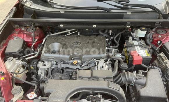 Acheter Occasion Voiture Toyota RAV4 Rouge à Douala, Littoral Cameroon