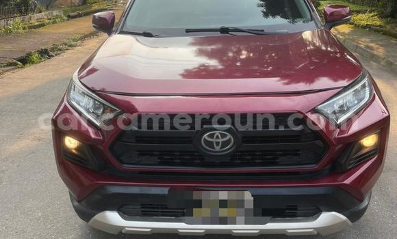 Acheter Occasion Voiture Toyota RAV4 Rouge à Douala, Littoral Cameroon Acheter Occasion Voiture Toyota RAV4 Rouge à Douala, Littoral Cameroon