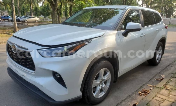 Buy Import Toyota Highlander White Car in Douala in Littoral Cameroon