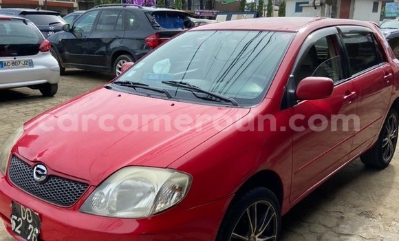 Sayi Imported Toyota Allex White Mota in Douala a Ƙasar Kamaru