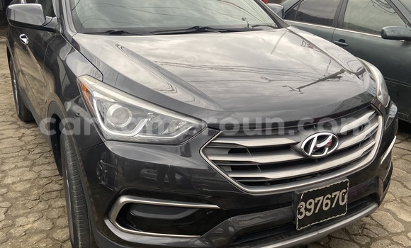 Sayi Imported Hyundai Santa Fe Sauran Mota in Douala a Ƙasar Kamaru