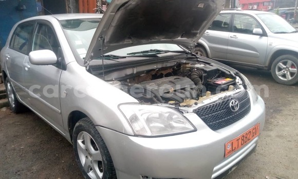 Acheter Occasion Voiture Toyota Corolla Gris à Douala, Littoral Cameroon Acheter Occasion Voiture Toyota Corolla Gris à Douala, Littoral Cameroon