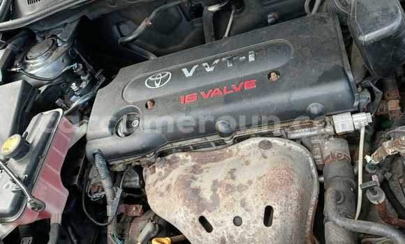 Sayi Sabo Toyota RAV4 Sauran Mota in Douala a Ƙasar Kamaru Sayi Sabo Toyota RAV4 Sauran Mota in Douala a Ƙasar Kamaru