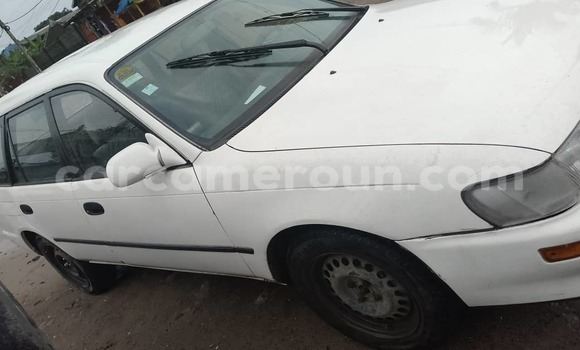 Buy Used Toyota Corolla White Car in Douala in Littoral Cameroon Buy Used Toyota Corolla White Car in Douala in Littoral Cameroon