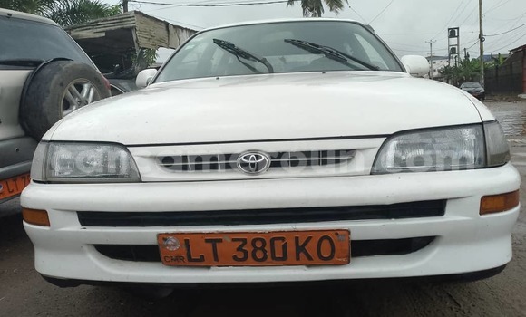 Buy Used Toyota Corolla White Car in Douala in Littoral Cameroon Buy Used Toyota Corolla White Car in Douala in Littoral Cameroon
