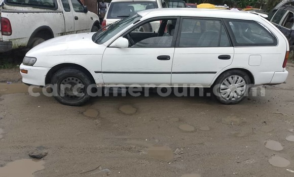 Buy Used Toyota Corolla White Car in Douala in Littoral Cameroon Buy Used Toyota Corolla White Car in Douala in Littoral Cameroon