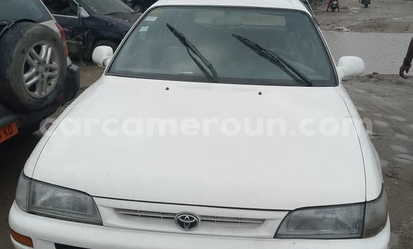 Buy Used Toyota Corolla White Car in Douala in Littoral Cameroon Buy Used Toyota Corolla White Car in Douala in Littoral Cameroon