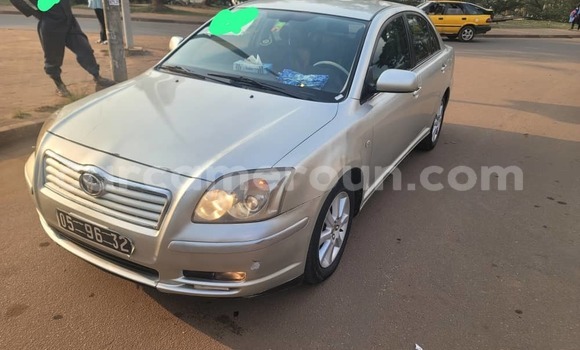 Buy New Toyota Avensis Silver Car in Yaounde in Central Cameroon Buy New Toyota Avensis Silver Car in Yaounde in Central Cameroon