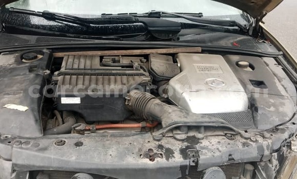 Acheter Neuf Voiture Lexus RX Marron à Douala, Littoral Cameroon