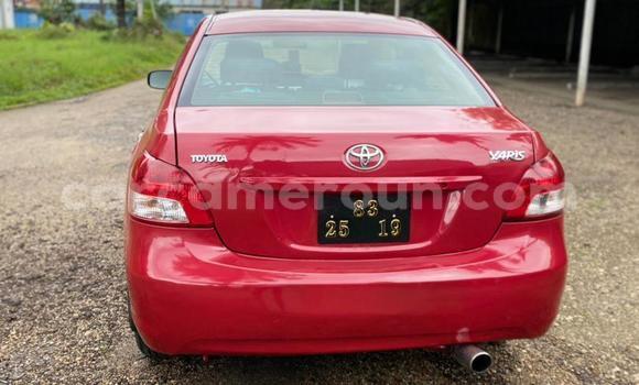 Buy Used Toyota Yaris Red Car in Douala in Littoral Cameroon Buy Used Toyota Yaris Red Car in Douala in Littoral Cameroon