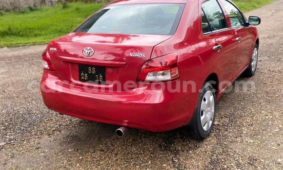 Buy Used Toyota Yaris Red Car in Douala in Littoral Cameroon Buy Used Toyota Yaris Red Car in Douala in Littoral Cameroon