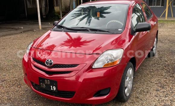 Buy Used Toyota Yaris Red Car in Douala in Littoral Cameroon Buy Used Toyota Yaris Red Car in Douala in Littoral Cameroon