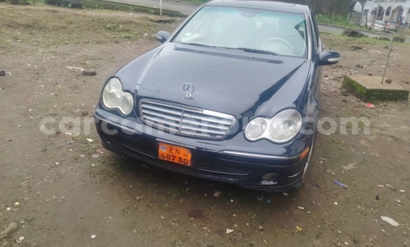 Sayi Na hannu Mercedes‒Benz 250 Blue Mota in Douala a Ƙasar Kamaru