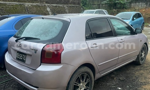Buy Used Toyota Corolla Other Car in Douala in Littoral Cameroon Buy Used Toyota Corolla Other Car in Douala in Littoral Cameroon