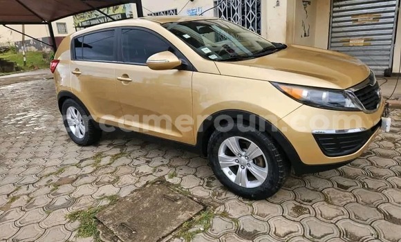 Buy New Kia Sportage Brown Car in Yaounde in Central Cameroon
