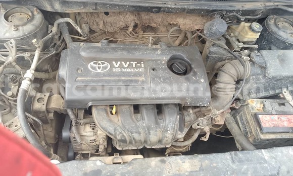 Sayi Sabo Toyota Corolla Sauran Mota in Douala a Ƙasar Kamaru Sayi Sabo Toyota Corolla Sauran Mota in Douala a Ƙasar Kamaru