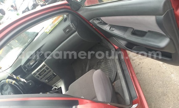 Sayi Sabo Toyota Corolla Sauran Mota in Douala a Ƙasar Kamaru Sayi Sabo Toyota Corolla Sauran Mota in Douala a Ƙasar Kamaru