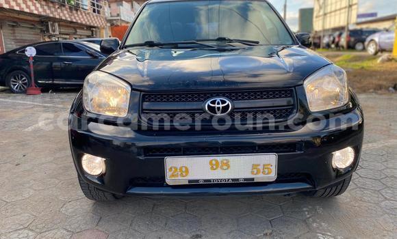 Buy Used Toyota RAV4 Black Car in Douala in Littoral Cameroon