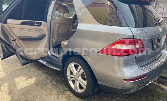 Buy New Mercedes‒Benz ML–Class Other Car in Douala in Littoral Cameroon