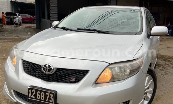 Sayi Imported Toyota Corolla Azurfa Mota in Douala a Ƙasar Kamaru Sayi Imported Toyota Corolla Azurfa Mota in Douala a Ƙasar Kamaru