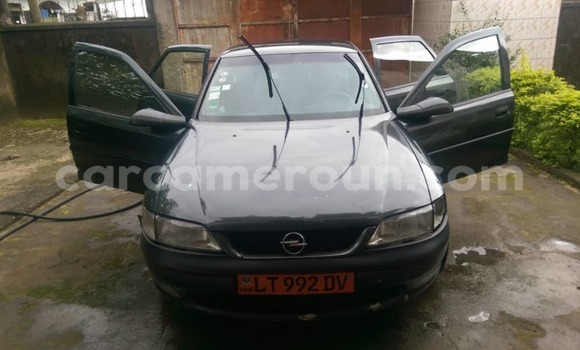 Acheter Occasion Voiture Opel Vectra Noir à Douala, Littoral Cameroon