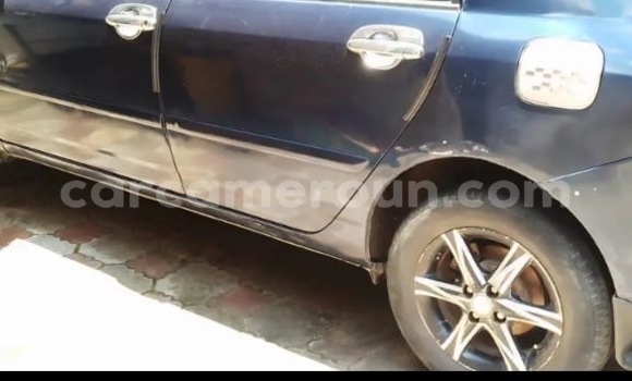 Acheter Occasion Voiture Toyota Corolla Bleu à Douala, Littoral Cameroon Acheter Occasion Voiture Toyota Corolla Bleu à Douala, Littoral Cameroon