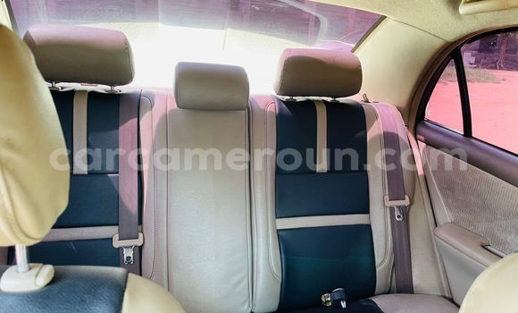 Acheter Occasion Voiture Toyota Corolla Noir à Douala, Littoral Cameroon Acheter Occasion Voiture Toyota Corolla Noir à Douala, Littoral Cameroon