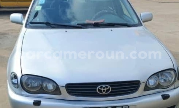 Buy New Toyota Corolla Silver Car in Douala in Littoral Cameroon