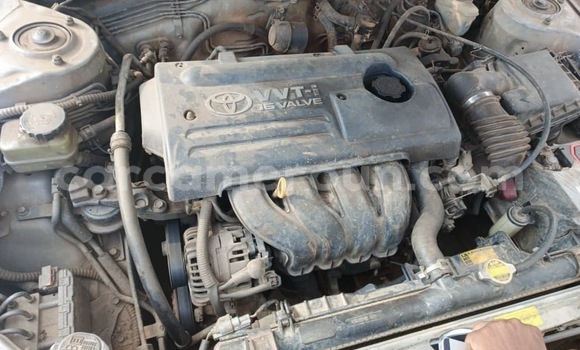 Sayi Sabo Toyota Corolla Azurfa Mota in Douala a Ƙasar Kamaru Sayi Sabo Toyota Corolla Azurfa Mota in Douala a Ƙasar Kamaru