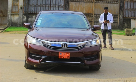 Buy Used Honda Accord Other Car in Douala in Littoral Cameroon
