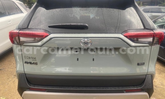 Buy Import Toyota RAV4 Other Car in Douala in Littoral Cameroon Buy Import Toyota RAV4 Other Car in Douala in Littoral Cameroon