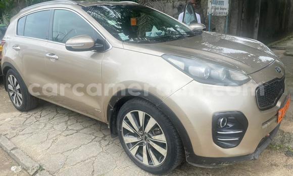 Buy Used Kia Sportage Beige Car in Douala in Littoral Cameroon