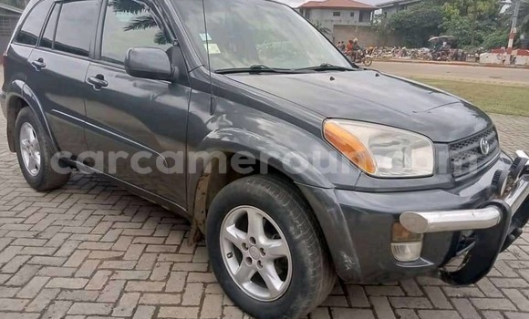Acheter Occasion Voiture Toyota RAV4 Gris à Douala, Littoral Cameroon
