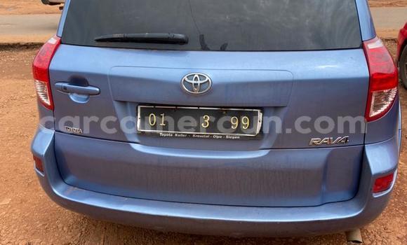 Buy New Toyota RAV4 Blue Car in Yaounde in Central Cameroon Buy New Toyota RAV4 Blue Car in Yaounde in Central Cameroon