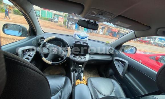 Buy New Toyota RAV4 Blue Car in Yaounde in Central Cameroon Buy New Toyota RAV4 Blue Car in Yaounde in Central Cameroon