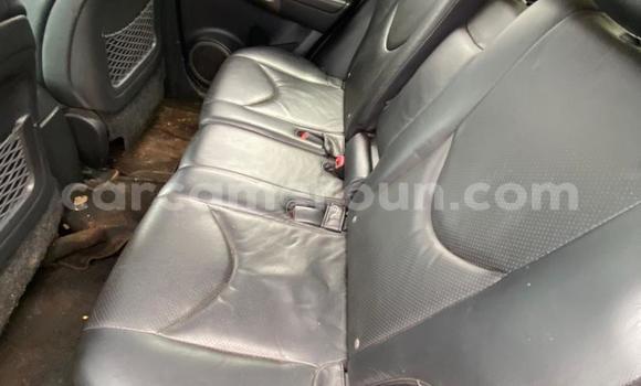 Buy New Toyota RAV4 Blue Car in Yaounde in Central Cameroon Buy New Toyota RAV4 Blue Car in Yaounde in Central Cameroon