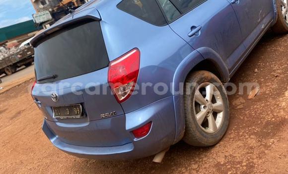 Buy New Toyota RAV4 Blue Car in Yaounde in Central Cameroon Buy New Toyota RAV4 Blue Car in Yaounde in Central Cameroon